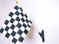 Berry's Flag Holders - 12 pack